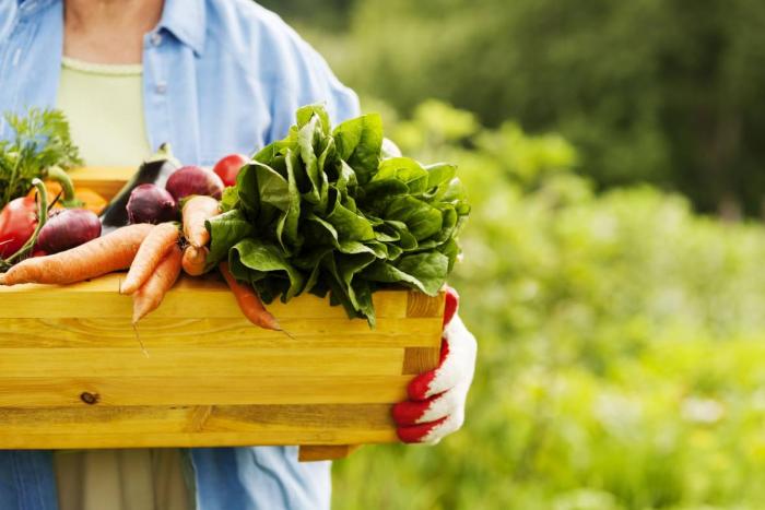 локальные продукты локальные продукты